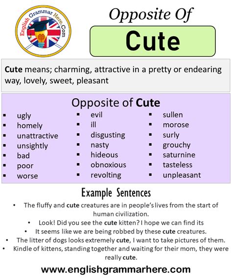 synonyms to cute|cute antonyms.